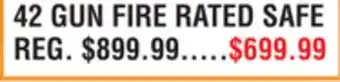 Dunham's Sports 42 GUN FIRE RATED SAFE offer