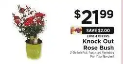 ShopRite Knock Out Rose Bush offer