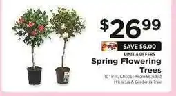 ShopRite Spring Flowering Trees offer