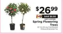 ShopRite Spring Flowering Trees offer