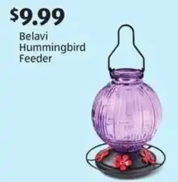 Aldi Belavi hummingbird feeder offer