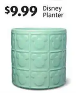 Aldi Disney planter offer