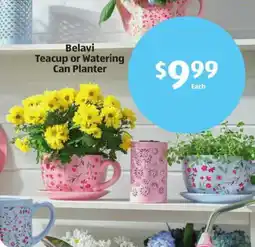 Aldi Belavi teacup or watering can planter offer