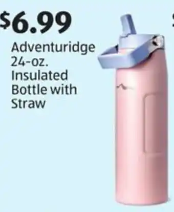 Aldi Adventuridge insulated bottle with straw offer