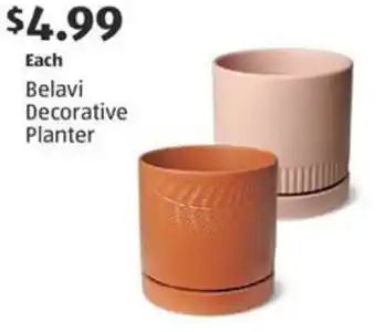 Aldi Belavi decorative planter offer