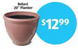Aldi Belavi planter offer