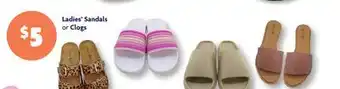 Family Dollar Ladies' Sandals or Clogs offer