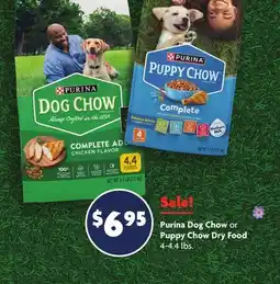 Family Dollar Purina Dog Chow or Puppy Chow Dry Food offer