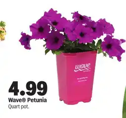 Meijer Wave Petunia offer