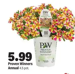 Meijer Proven Winners Annual offer
