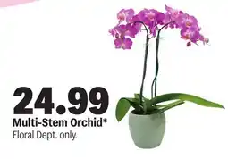 Meijer Multi-Stem Orchid offer