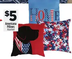 Dollar General Americana Pillows offer