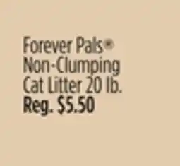 Dollar General Forever Pals Non-Clumping Cat Litter offer