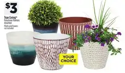 Dollar General Polystone Planters offer