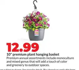 Hy-Vee 10 premium plant hanging basket offer