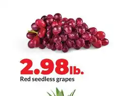 Hy-Vee Red seedless grapes offer
