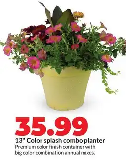 Hy-Vee 13 Color splash combo planter offer