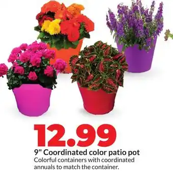 Hy-Vee 9 Coordinated color patio pot offer