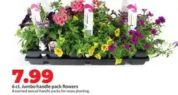 Hy-Vee 6 ct. Jumbo handle pack flowers offer