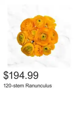 Costco 120-stem Ranunculus offer