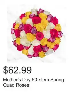 Costco Mother's Day 50-stem Spring Quad Roses offer