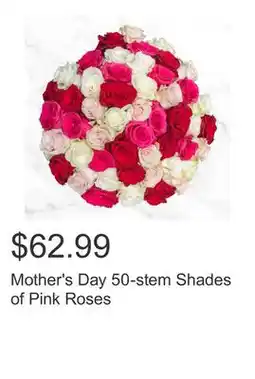 Costco Mother's Day 50-stem Shades of Pink Roses offer