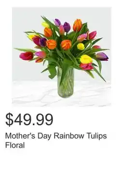 Costco Mother's Day Rainbow Tulips Floral offer