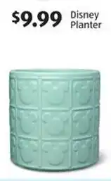 Aldi Disney Planter offer