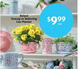 Aldi Belavi Teacup or Watering Can Planter offer