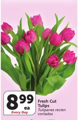 Vons Fresh Cut Tulips offer