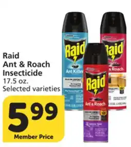 Vons Raid Ant & Roach Insecticide offer