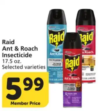 Vons Raid Ant & Roach Insecticide offer