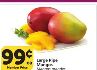 Vons Large Ripe Mangos offer