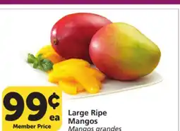 Albertsons Large Ripe Mangos offer