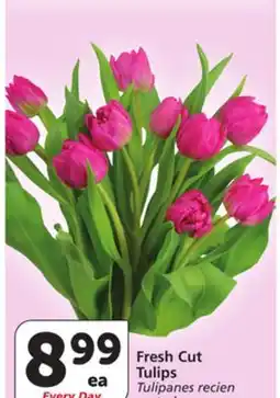 Albertsons Fresh Cut Tulips offer