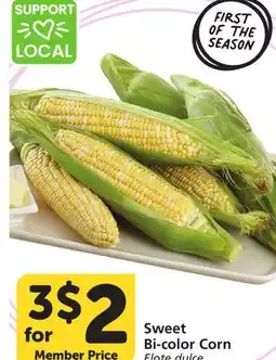 Albertsons Sweet Bi-color Corn offer