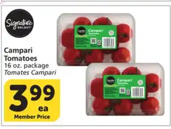Albertsons Campari Tomatoes offer