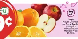 Albertsons Large Navel Oranges or Envy Apples offer