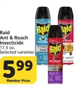Albertsons Raid Ant & Roach Insecticide offer
