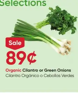 Stater Bros Organic Cilantro or Green Onions offer