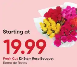 Stater Bros Fresh Cut 12-Stem Rose Bouquet offer
