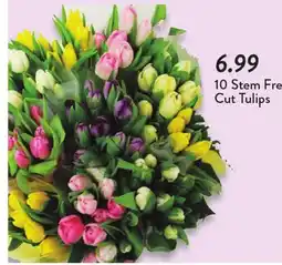 Fresh Thyme 10 Stem Fresh Cut Tulips offer