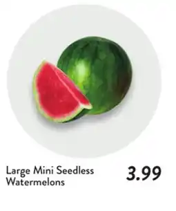 Fresh Thyme Large Mini Seedless Watermelons offer