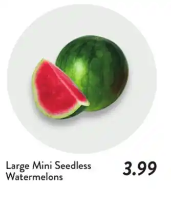 Fresh Thyme Large Mini Seedless Watermelons offer