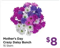 Food 4 Less Mother's Day Crazy Daisy Bunch offer