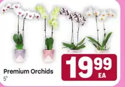 Tony’s Fresh Market Premium Orchids offer