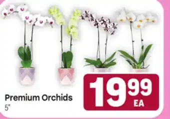 Tony’s Fresh Market Premium Orchids offer