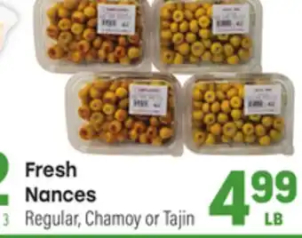 Tony’s Fresh Market Fresh Nances offer