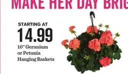 Mariano's 10 Geranium or Petunia Hanging Baskets offer