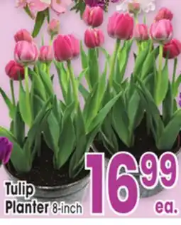 Jewel-Osco Tulip Planter offer